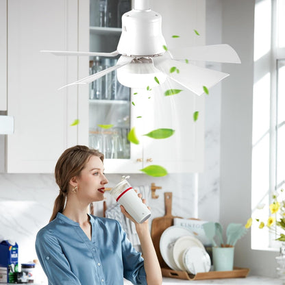 Ceiling Fan with LED Light and Remote Control